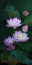 avatar_Flying Lotus